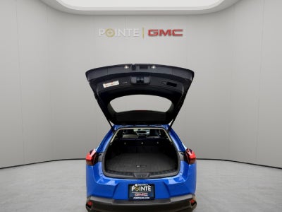 2022 Lexus UX UX 250h