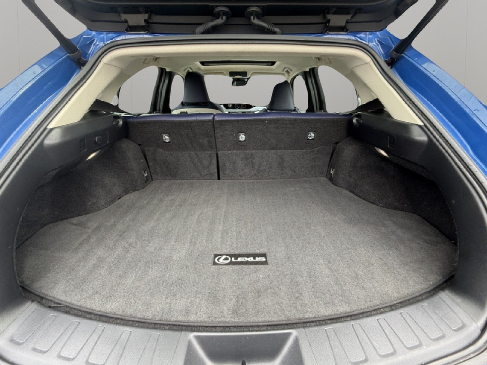 2022 Lexus UX UX 250h